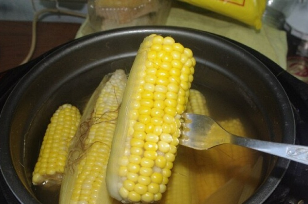 Варить початках в кастрюле. Кукуруза в кастрюле. Кукуруза молодая. Вареная кукуруза. Вареная кукуруза в кастрюле.