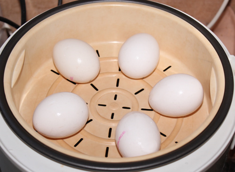 Почему в вареных яйцах вода. Яйца на пару в мультиварке. Яйца вкрутую в мультиварке. Яйца в пароварке. Варка яиц в мультиварке редмонд.